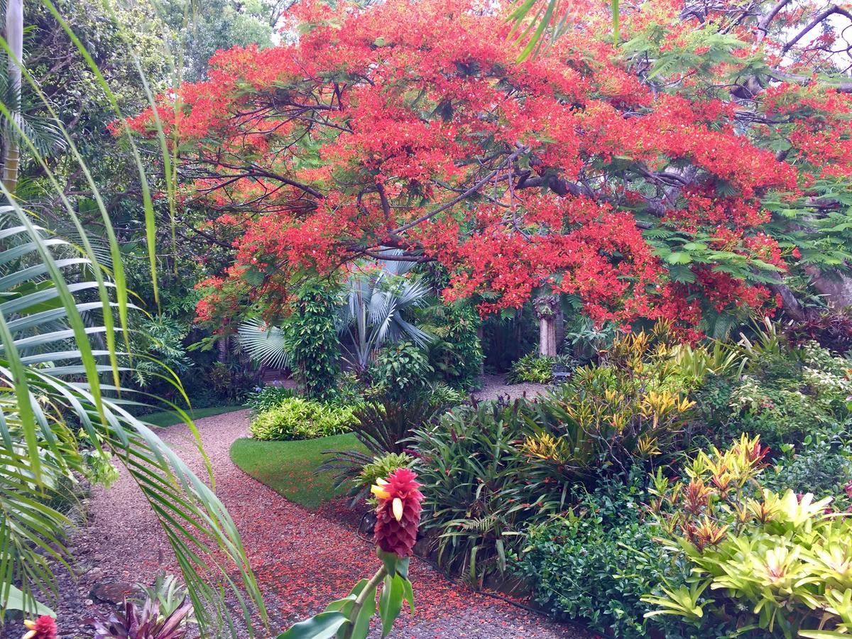 Eden Rest Bed & Breakfast Cooroy ภายนอก รูปภาพ
